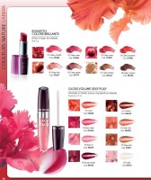 /album/colorario-2013/logo-colorario-2013-14-jpg/